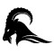 teamAvatar