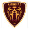 teamAvatar