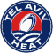teamAvatar